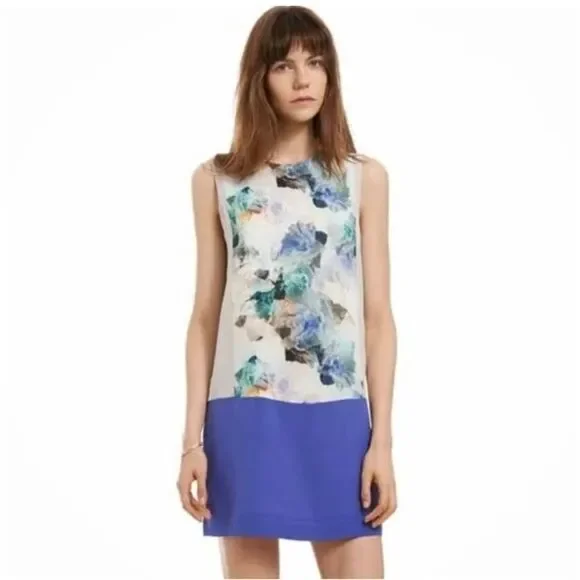 Rebecca Taylor | Dresses | Rebecca Taylor Womenssleeveless Enchanted Garden  Silk Mini Dress Creamblue Si | Poshmark